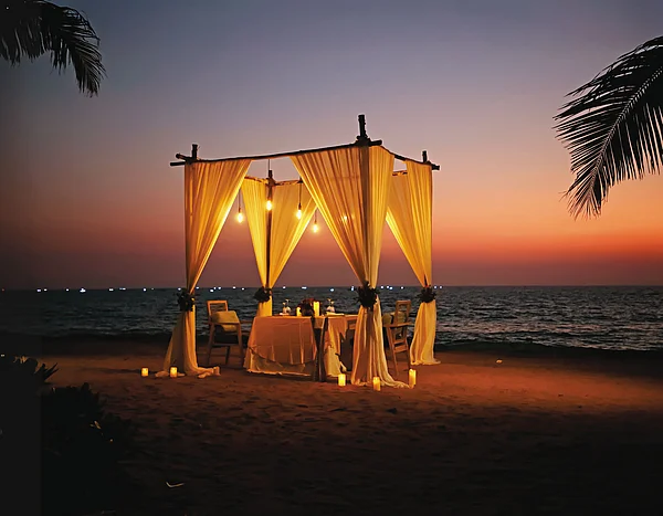 The resort offers panoramic views of the sea, tranquil backwaters, and sandy beaches