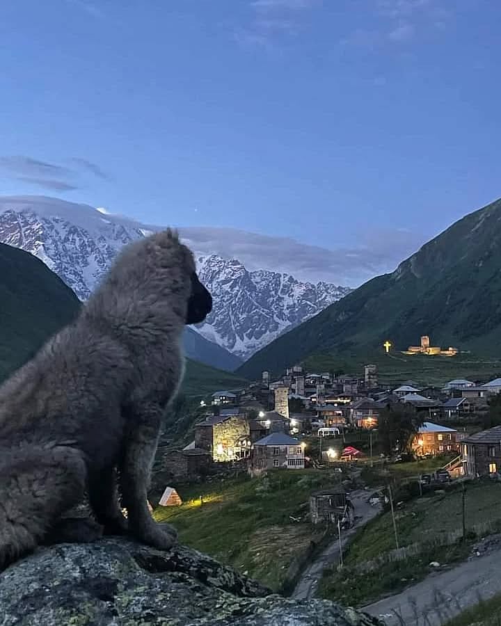 Evening light in the valley
