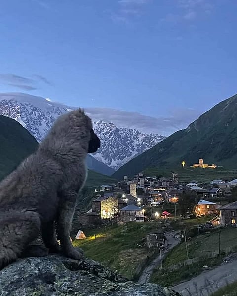 Evening light in the valley