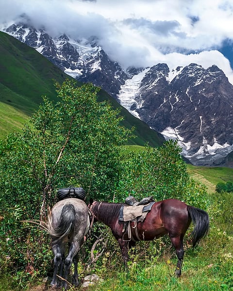 Go on walks around the countryside