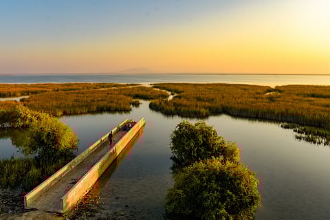 A lake in the Banni grasslands of Kutch