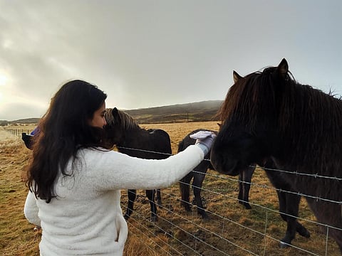 Alam pats a horse during the road trip to Loch Ness