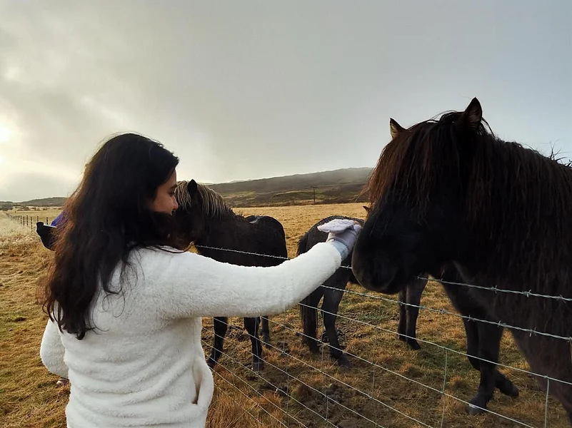 Alam pats a horse during the road trip to Loch Ness