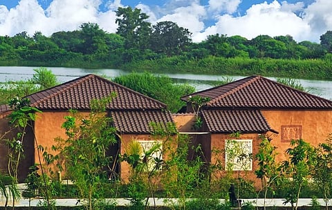 Bamboo Forest Safari Lodge in Tadoba