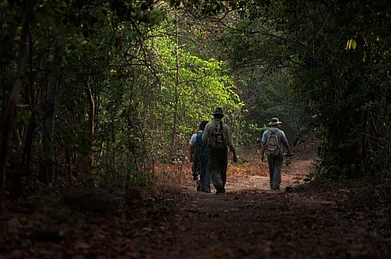 Shutterstock : Birders at the Phansad Wildlife Sanctuary