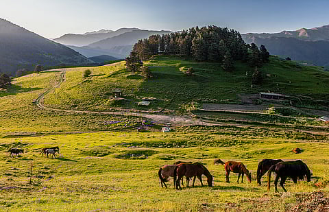 Tusheti National Park is located in the Eastern Caucasus Mountains