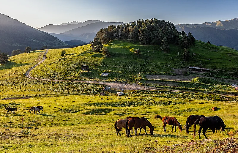 Tusheti National Park is located in the Eastern Caucasus Mountains