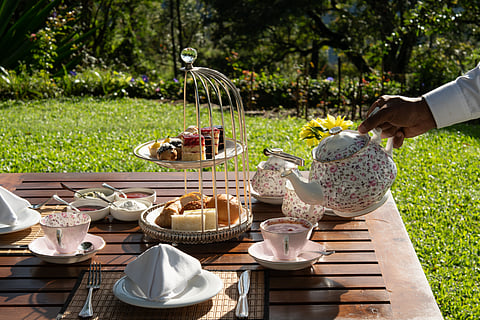 Tea and its legacy at Thotalagala