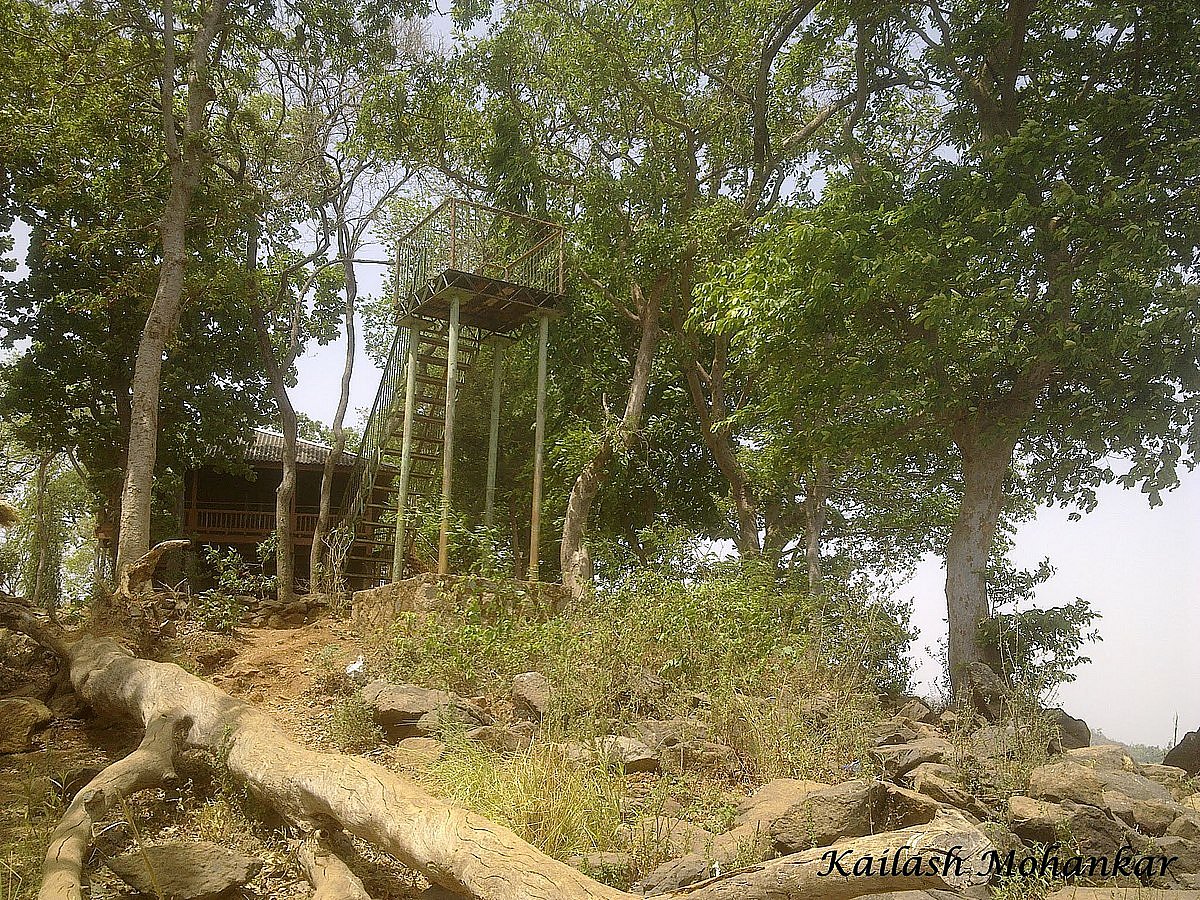 A watchtower at Navegaon National Park