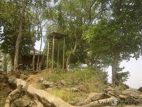 A watchtower at Navegaon National Park