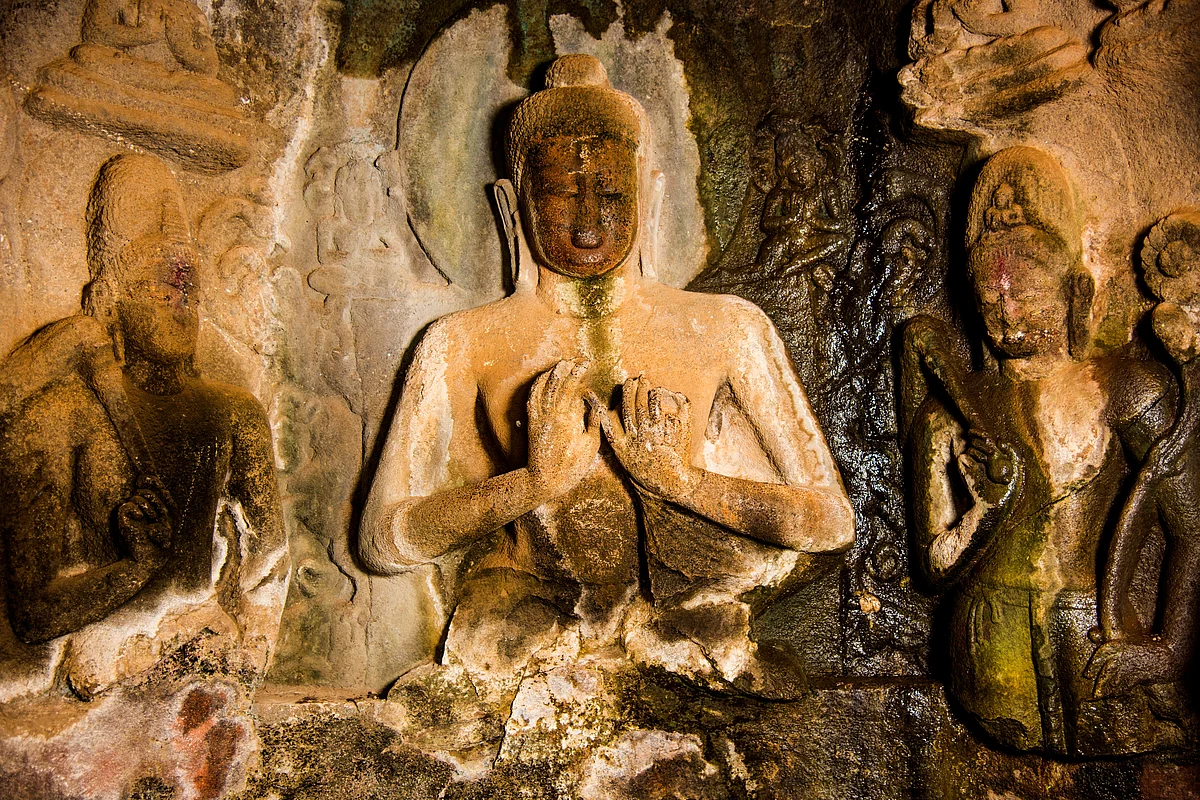 crshelare/Shutterstock