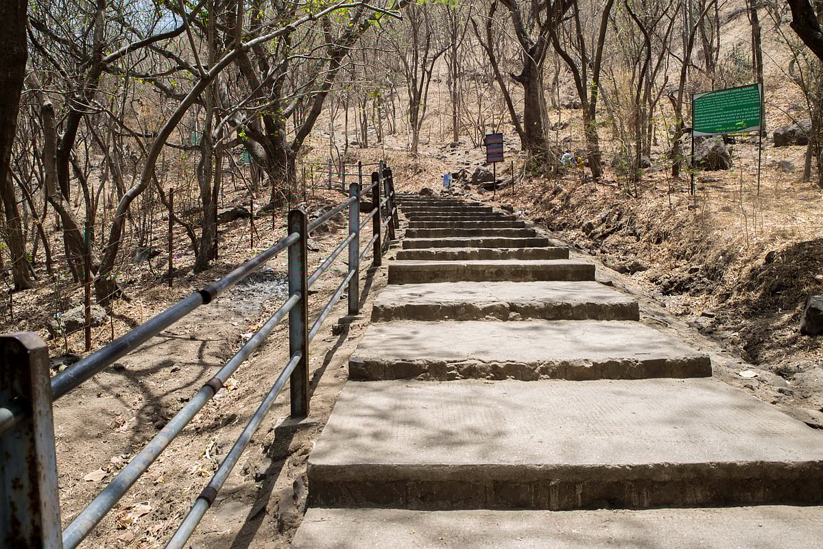 Stairs leading to the Pandavleni Caves