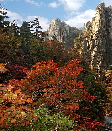 eyopkr/Instagram : North Korea’s Mount Kumgang, often called the “greatest mountain under heaven”
