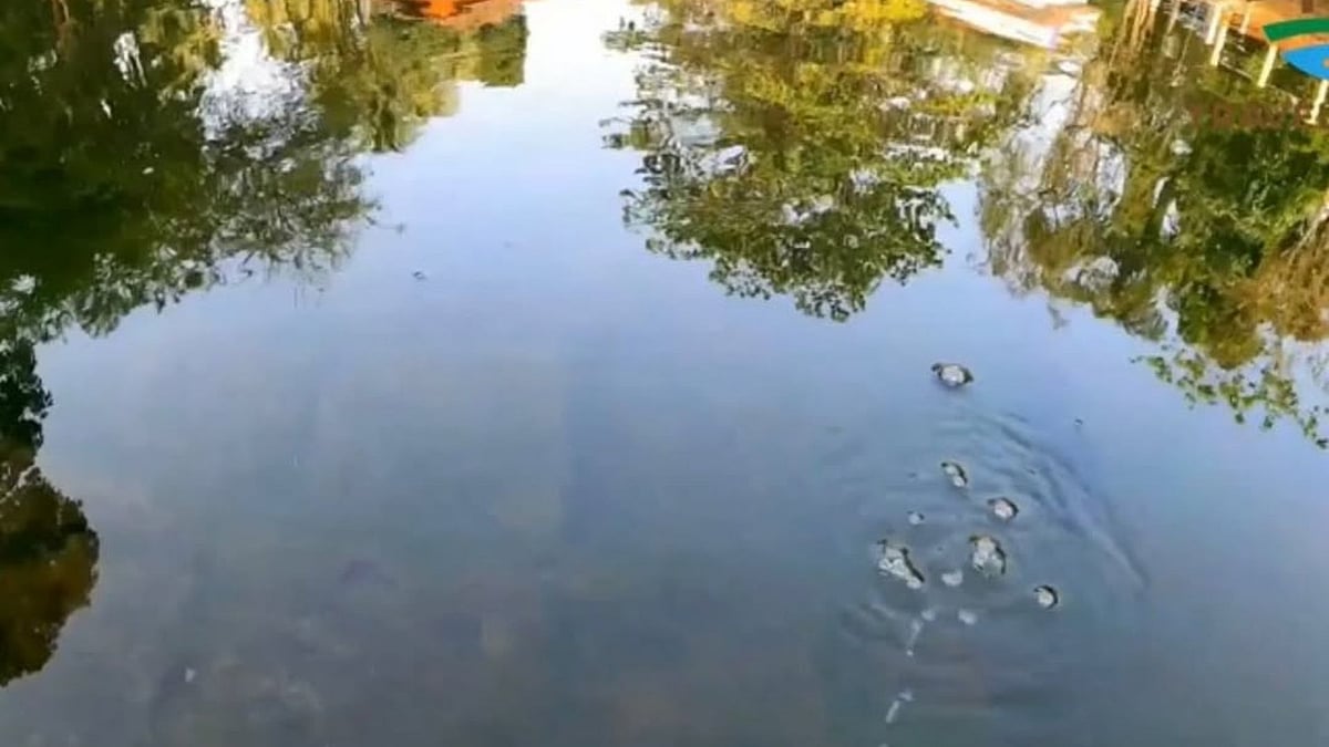 The bubbles at the Budbudyanchi Tali are known to strangely increase in intensity if one claps loudly. 