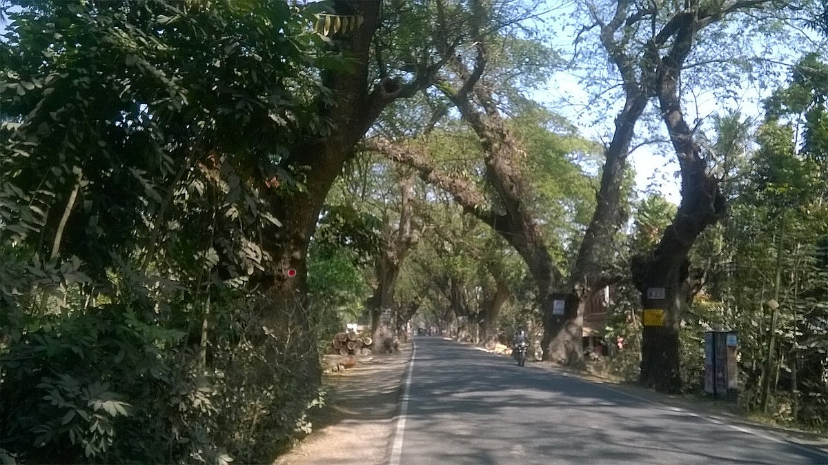 Along the Jessore Road