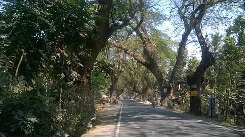 Along the Jessore Road