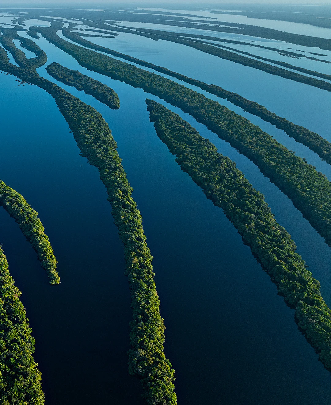 A view of the Amazon River, Brazil