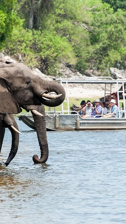 zambeziqueencollection/instagram : People on a river safari