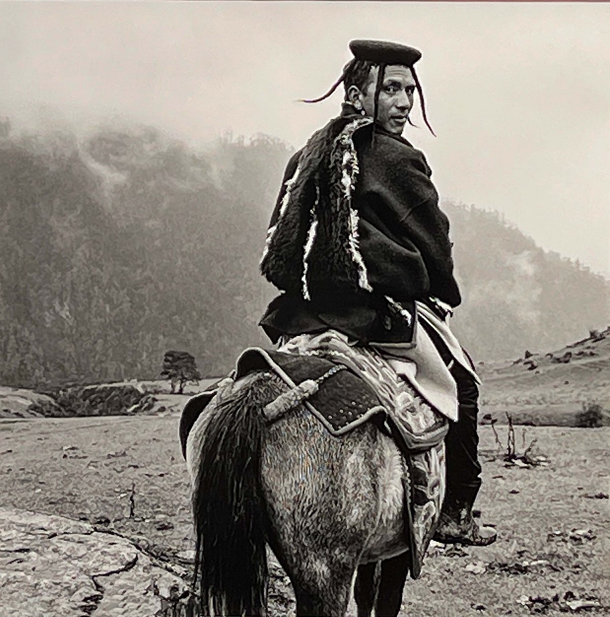 A shot by Serena Chopra