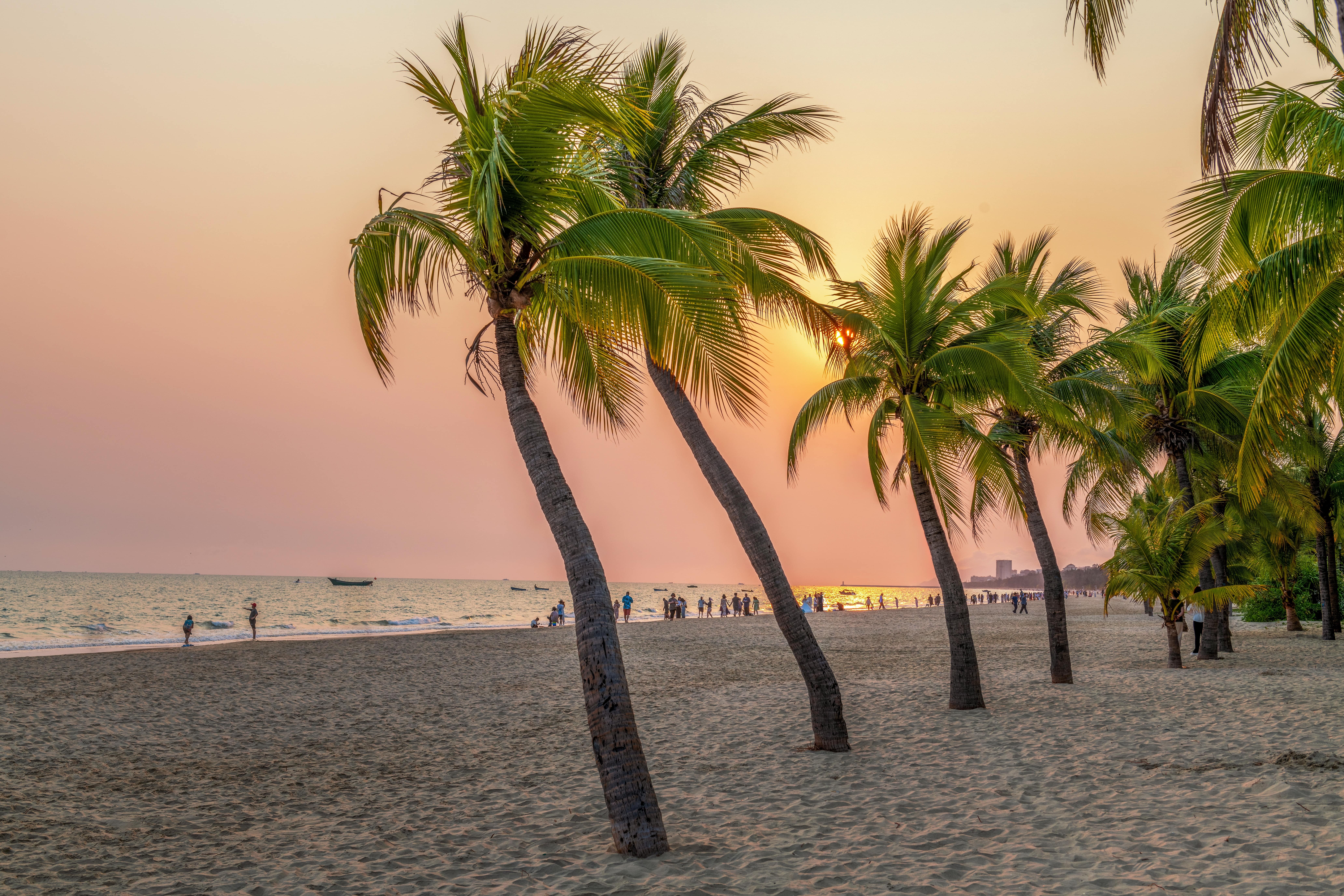 Sanya City on Hainan Island evacuated 20,000 residents as Typhoon Kajiki skirted its southern section