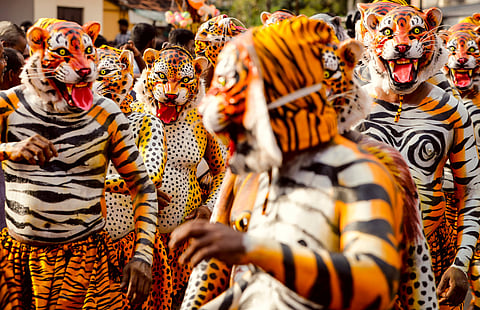  Pulikkali, or Tiger Dance, is a traditional art-form, where men, painted as big cats and with suiting masks, make rhythmic movements suiting the beats of the ethnic chenda drum. The most famous venue for Pulikkali is the central-Kerala town of Thrissur on the fourth day (evening) of Onam.