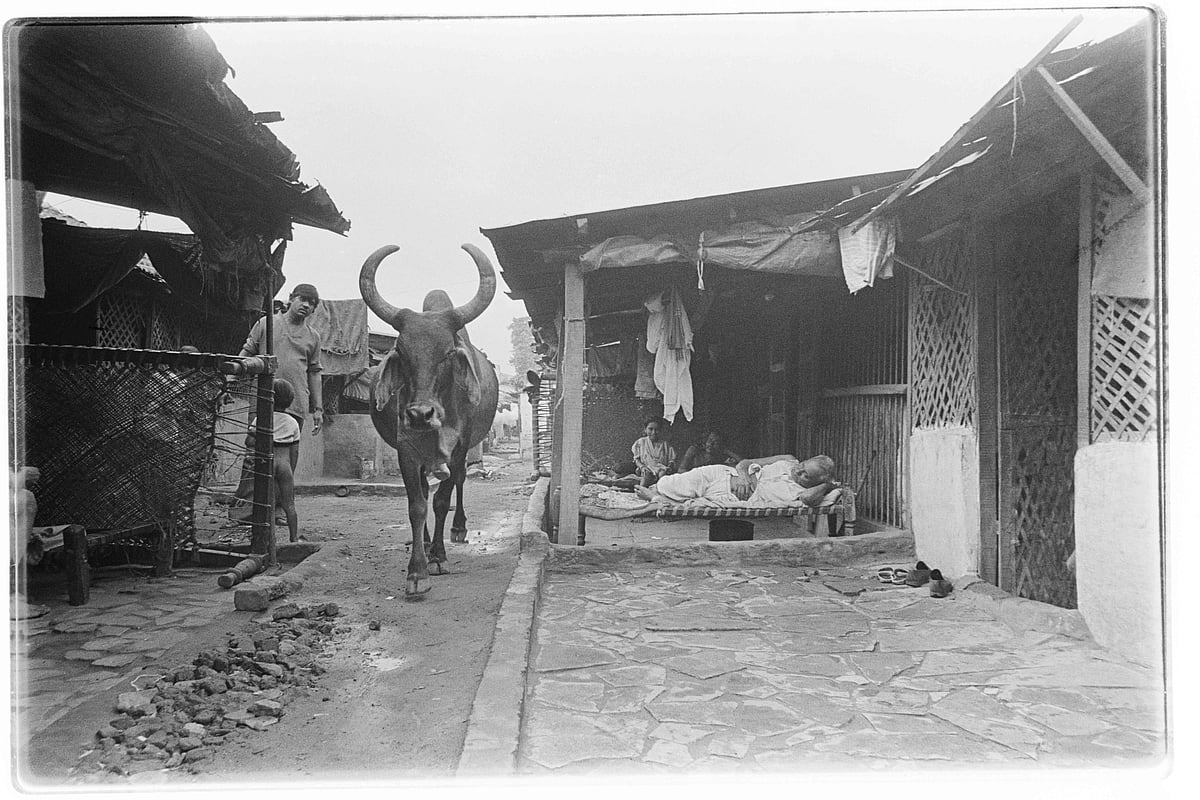 A shot by Pathiv Shah