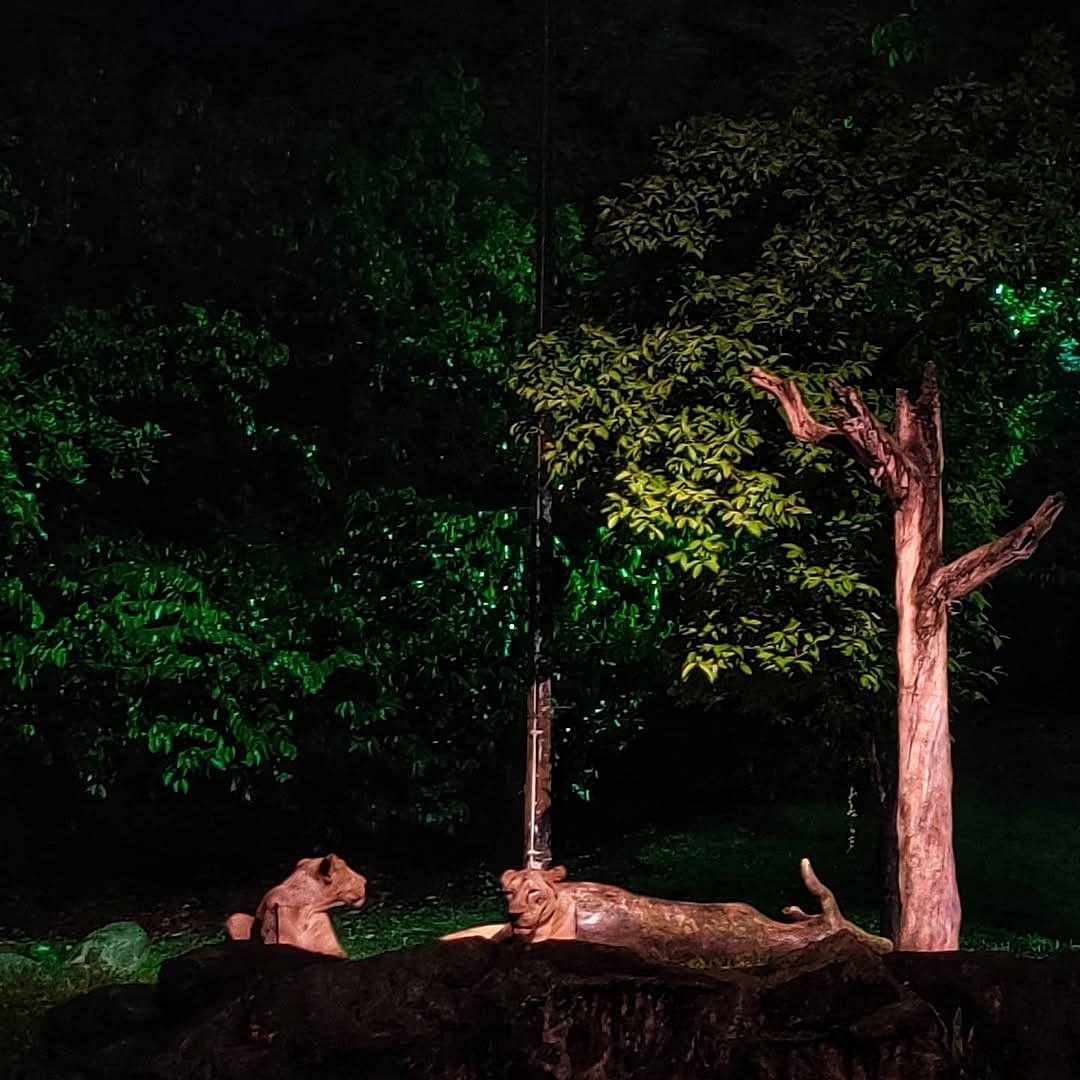 Shot from night safari in Singapore 