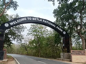 barwadihviews/Instagram : Betla National Park is a 226.33 sq km expanse of lush green forests, hills, valleys and waterfalls in Jharkhand