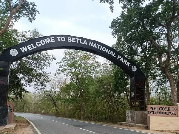 barwadihviews/Instagram : Betla National Park is a 226.33 sq km expanse of lush green forests, hills, valleys and waterfalls in Jharkhand