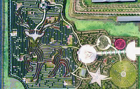 With over 100,000 Chinese juniper shrubs, the Yancheng Dafeng Dream Maze is shaped like an elk from above.