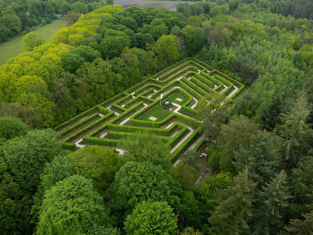 Unsplash : Every turn tells a new story in the world of mazes (representational image)