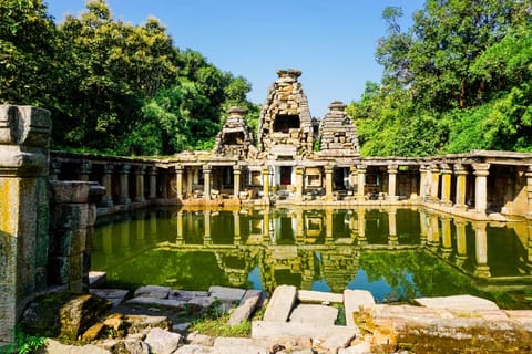 Locals say the water level in the 1,200-year-old Karpur Baoli has never gone down