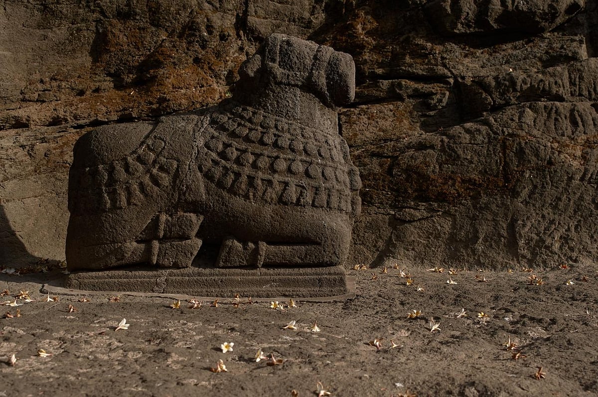 Nandi is the divine vahan (vehicle) of Shiva