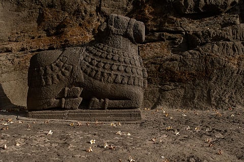 Nandi is the divine vahan (vehicle) of Shiva