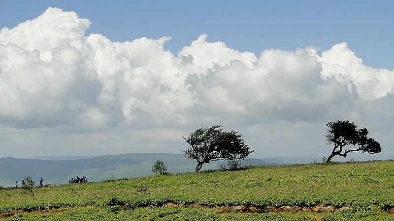 Trek through the plateau