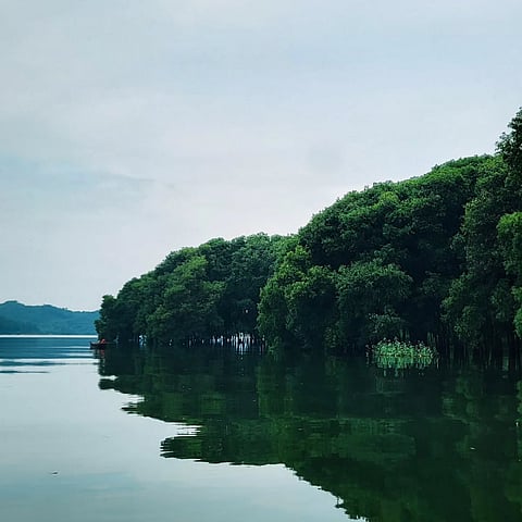 The area is surrounded by forests