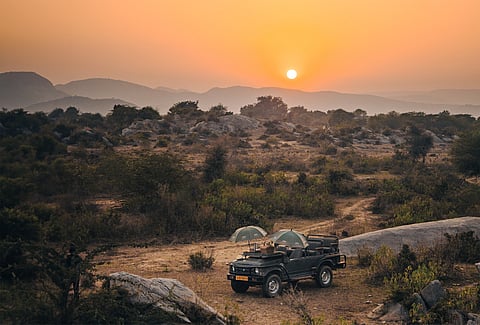 Go on safaris and birdwatching trails