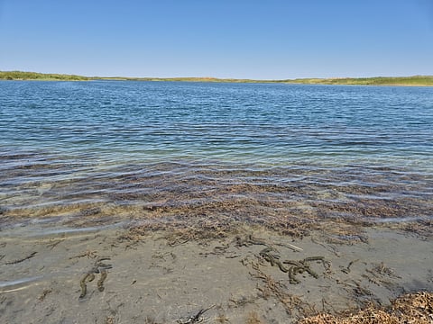 Aydar Kol is a man made lake with a water treaty between Kazakhstan and Uzbekistan