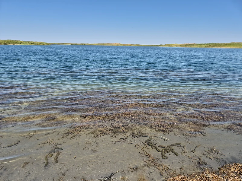 Aydar Kol is a man made lake with a water treaty between Kazakhstan and Uzbekistan