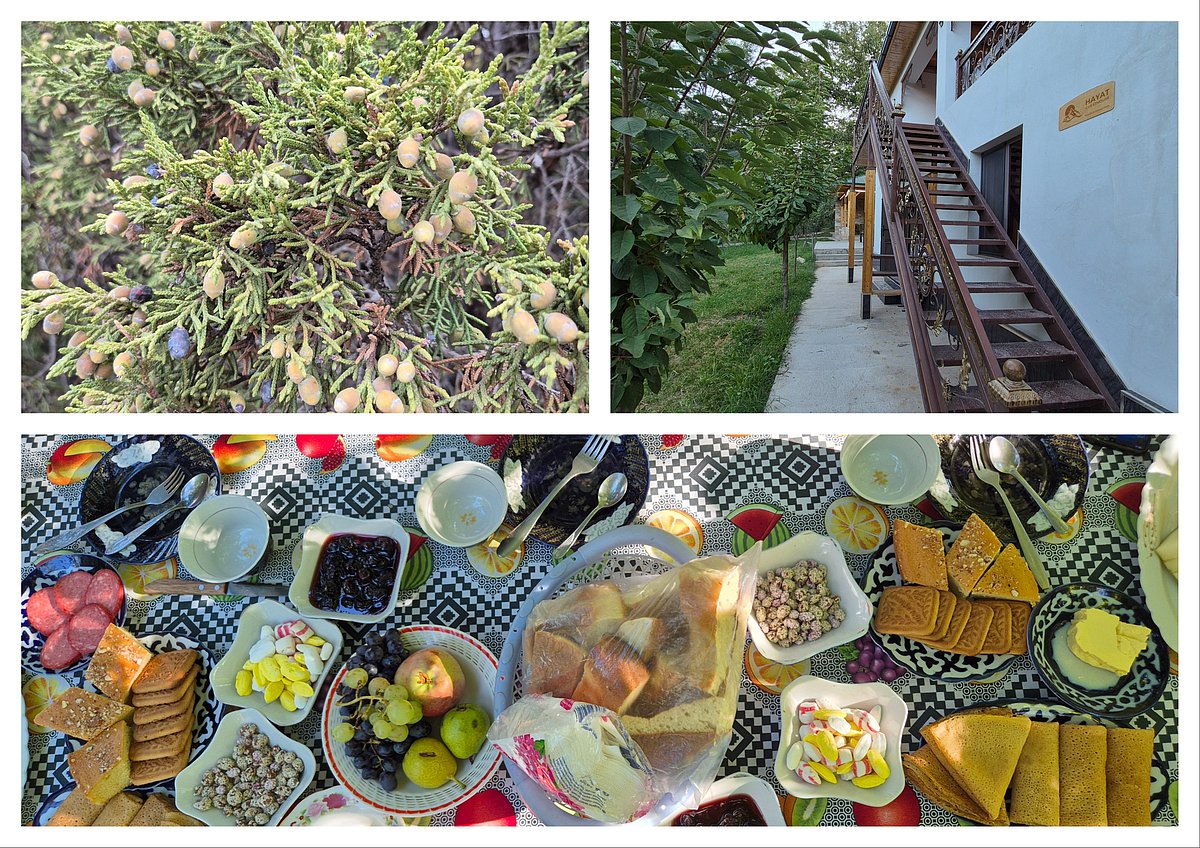 Hayat Ecotourism Guest House provides an authentic homestay experience