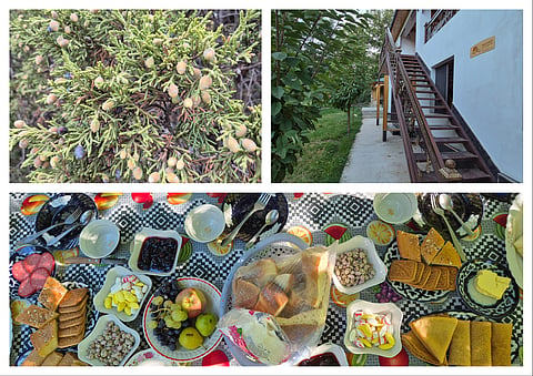 Hayat Ecotourism Guest House provides an authentic homestay experience