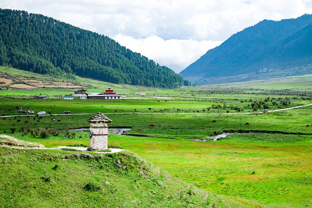 Shutterstock : Life in Phobjikha unfolds at a timeless rhythm, from Gangtey Monastery’s chants to villagers tending potato fields and yak pastures.