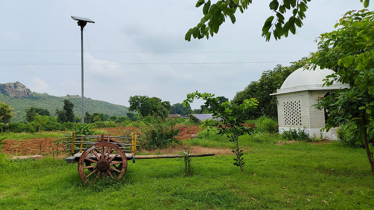 Lush green hills surrounding Ladpura Khas, offering serene views and a tranquil rural escape