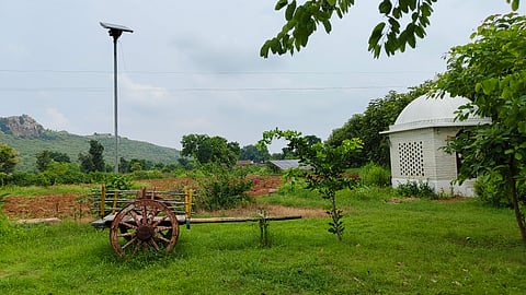 Lush green hills surrounding Ladpura Khas, offering serene views and a tranquil rural escape