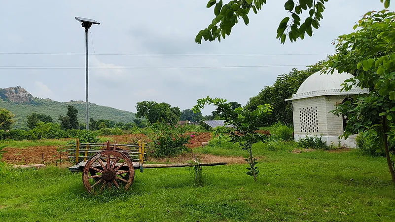 Lush green hills surrounding Ladpura Khas, offering serene views and a tranquil rural escape