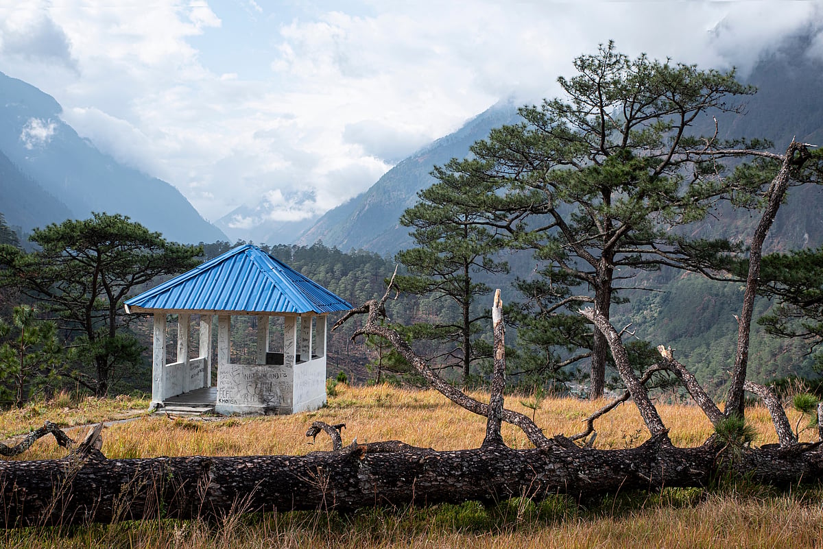 At an altitude of about 1,240 metres, the village provides one of the most pristine vantage points in the Eastern Himalaya