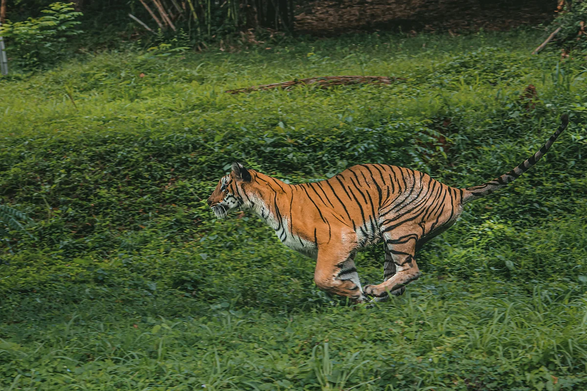 Photo by Aslam Baig on Unsplash