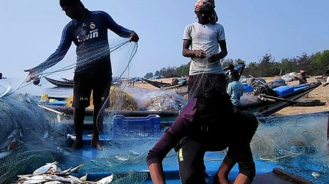 The day’s catch in Ganjam connects fishing families to local markets and tourism