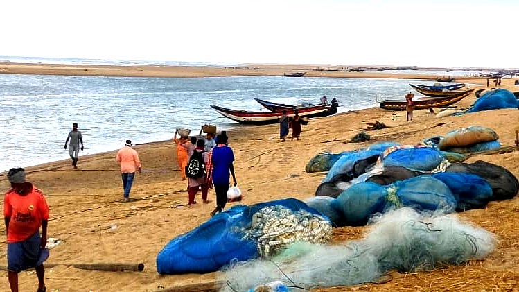 The day’s fresh catch on Podampeta Beach, Odisha