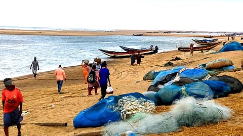 The day’s fresh catch on Podampeta Beach, Odisha